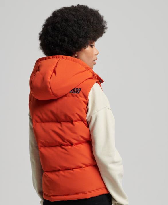vintage κουκούλα everest gilet γυναίκες είδη ένδυσης πορτοκάλι Superdry L02L3621