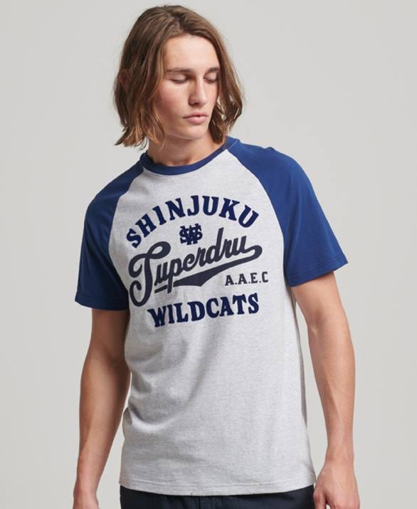 vintage μπλουζάκι home run raglan άνδρες είδη ένδυσης ανοιχτό γκρι Superdry L02L19
